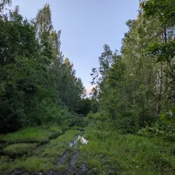Фото с Вечер: Заросший университет