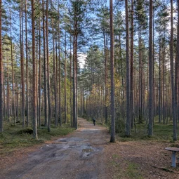 Фото с Финский гром