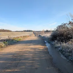 Фото с Котельская осень