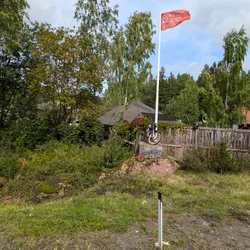 Фото с Киви Выбирает Блинчики