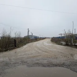 Фото с Ручеёк течёт в Саблино