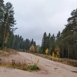 Фото с Прогулка около Виипури