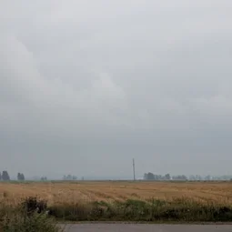 Фото с Старые тропинки Пушкинских Понтонов