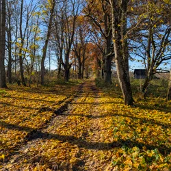 Фото с Котельская осень