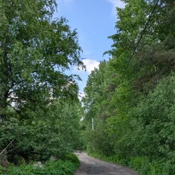 Фото с Тёмная сторона Кальтино
