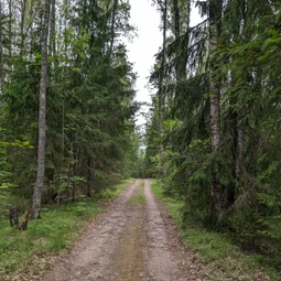 Фото с Выыыборги и то что северней