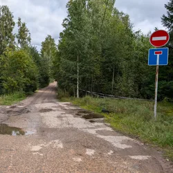 Фото с Киви Выбирает Блинчики