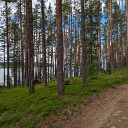 Фото с Гром через Финскую Призму