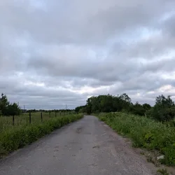 Фото с Вечер: Заросший университет