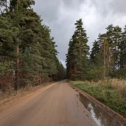 Фото с Осень на все 100