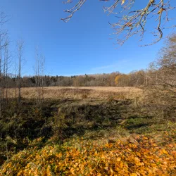 Фото с Котельская осень