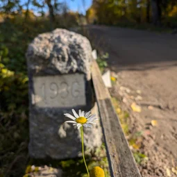 Фото с Финский гром