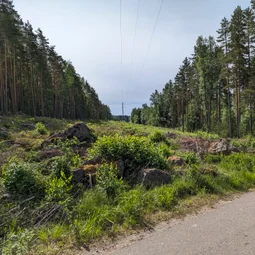 Фото с Выыыборги и то что северней