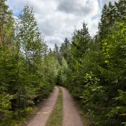 Фото с Киви Выбирает Блинчики