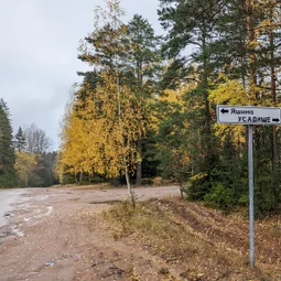 Фото с Прогулка около Виипури