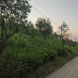 Фото с Победы наши славные