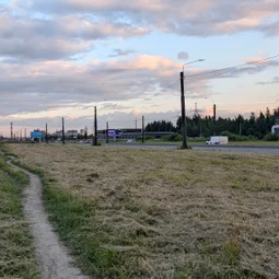 Фото с Вечер: Ковалёвская лечебная грязь