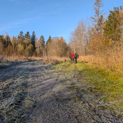 Фото с Котельская осень