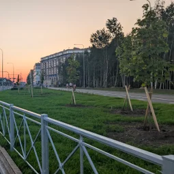 Фото с Вечер: Ольга Позорница