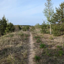 Фото с Волховский фронт